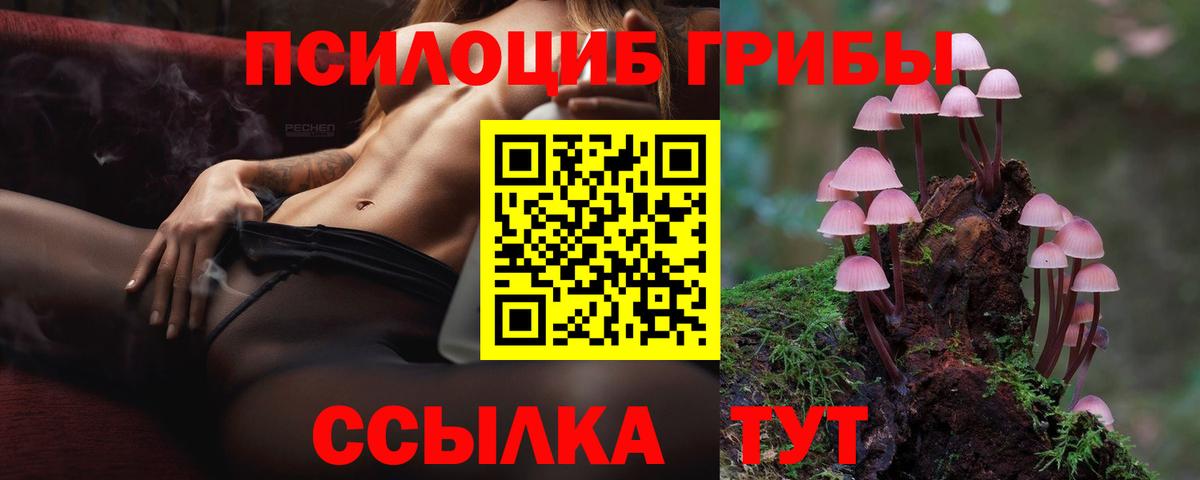 Галлюциногенные грибы Psilocybine cubensis Ялта